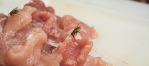contaminazione crociata